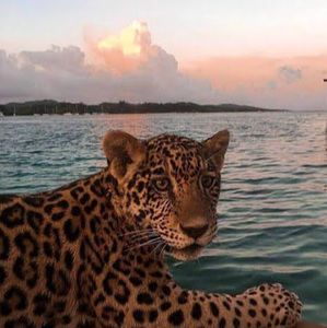 Meet your Posher, Dana